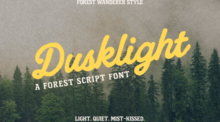 Dusklight Script Font font preview